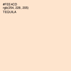 #FEE4CD - Tequila Color Image