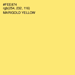 #FEE874 - Marigold Yellow Color Image