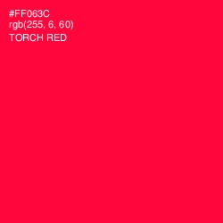 #FF063C - Torch Red Color Image