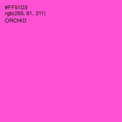 #FF51D3 - Orchid Color Image