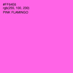 #FF64E6 - Pink Flamingo Color Image