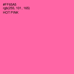 #FF65A5 - Hot Pink Color Image