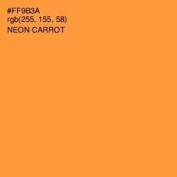 #FF9B3A - Neon Carrot Color Image