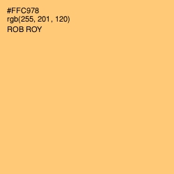 #FFC978 - Rob Roy Color Image