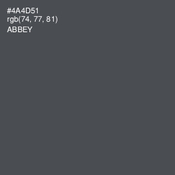 #4A4D51 - Abbey Color Image