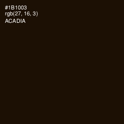#1B1003 - Acadia Color Image