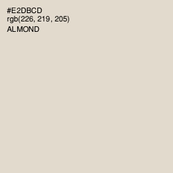 #E2DBCD - Almond Color Image