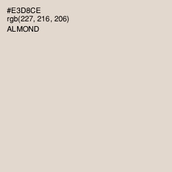 #E3D8CE - Almond Color Image