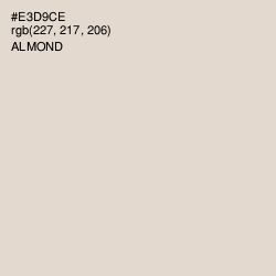 #E3D9CE - Almond Color Image