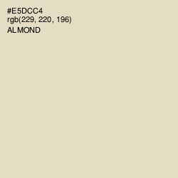 #E5DCC4 - Almond Color Image