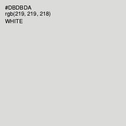#DBDBDA - Alto Color Image