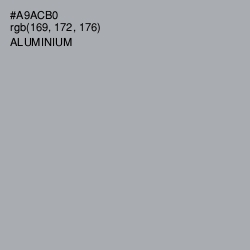 #A9ACB0 - Aluminium Color Image