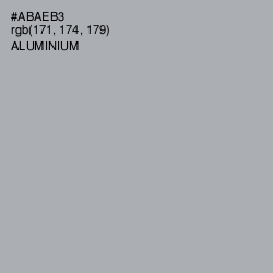 #ABAEB3 - Aluminium Color Image
