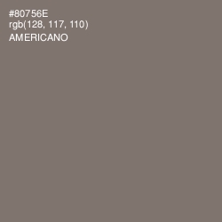 #80756E - Americano Color Image