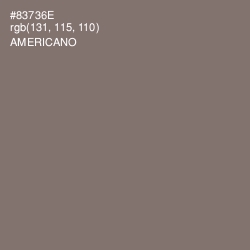 #83736E - Americano Color Image