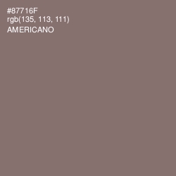 #87716F - Americano Color Image