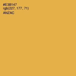 #E3B147 - Anzac Color Image