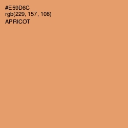 #E59D6C - Apricot Color Image