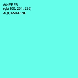 #64FEEB - Aquamarine Color Image