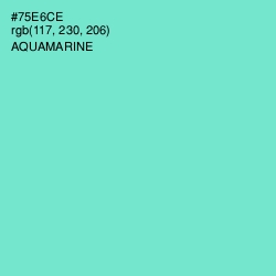 #75E6CE - Aquamarine Color Image