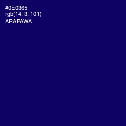 #0E0365 - Arapawa Color Image