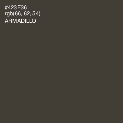#423E36 - Armadillo Color Image