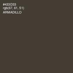 #433D33 - Armadillo Color Image