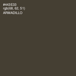 #443E33 - Armadillo Color Image
