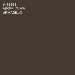 #453B31 - Armadillo Color Image