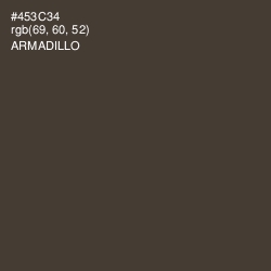 #453C34 - Armadillo Color Image
