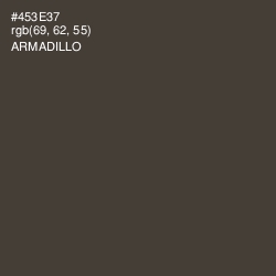 #453E37 - Armadillo Color Image