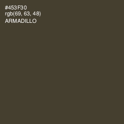 #453F30 - Armadillo Color Image