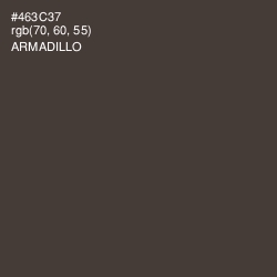 #463C37 - Armadillo Color Image