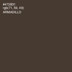 #473B31 - Armadillo Color Image