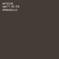 #473C35 - Armadillo Color Image