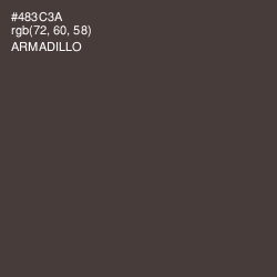 #483C3A - Armadillo Color Image