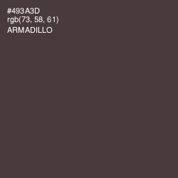 #493A3D - Armadillo Color Image