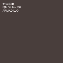 #493E3B - Armadillo Color Image
