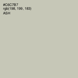 #C6C7B7 - Ash Color Image