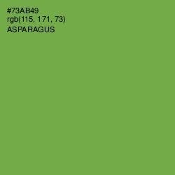 #73AB49 - Asparagus Color Image