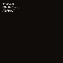 #100C09 - Asphalt Color Image