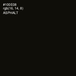 #100E08 - Asphalt Color Image