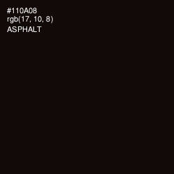 #110A08 - Asphalt Color Image