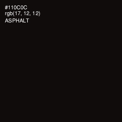 #110C0C - Asphalt Color Image