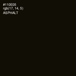 #110E05 - Asphalt Color Image