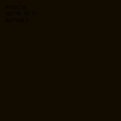 #120C00 - Asphalt Color Image