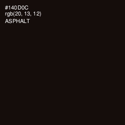 #140D0C - Asphalt Color Image