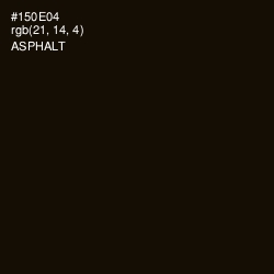 #150E04 - Asphalt Color Image