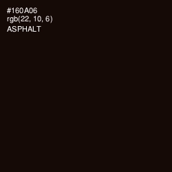 #160A06 - Asphalt Color Image