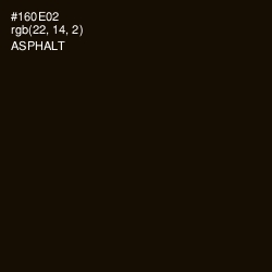 #160E02 - Asphalt Color Image